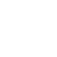 White LinkedIn Icon